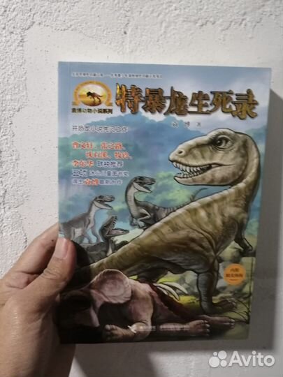 Книга на китайском языке детская