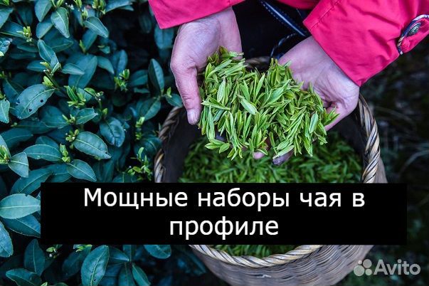 Китайский чай