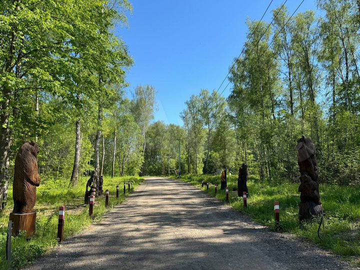 Участок 10 сот. (ИЖС)