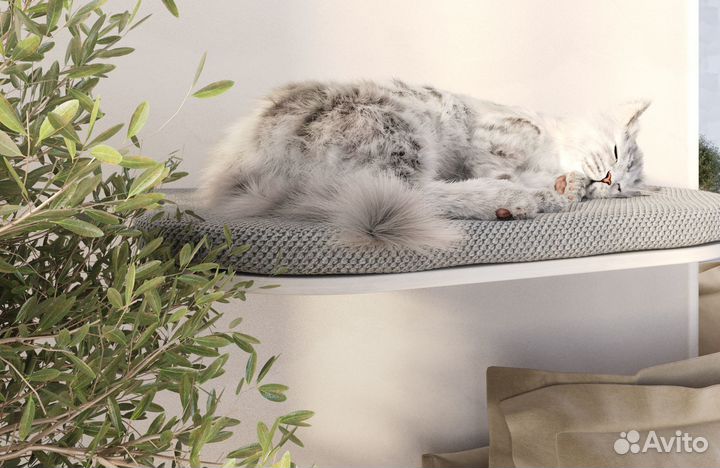 Настенная парящая полка лежанка для кошек