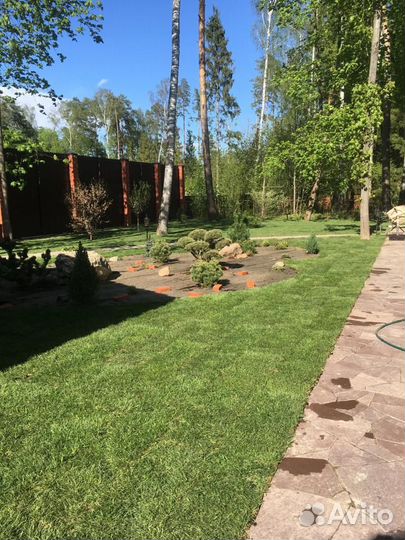 Рулонные газоны