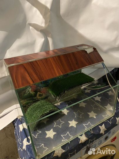 Аквариум для красноухой черепахи