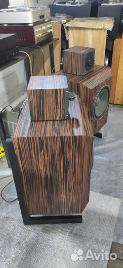 Exclusive model 3301 (шпон )