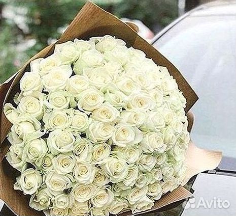 Розы Цветы Букеты 25 51 151 201 101 301 501 опт