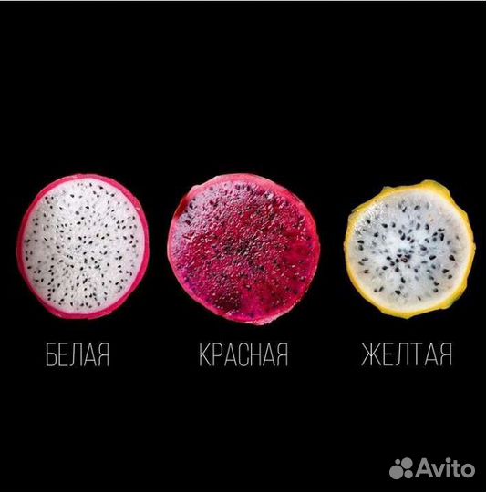 Семена Питахайя Драконий Фрукт Сердце Дракона