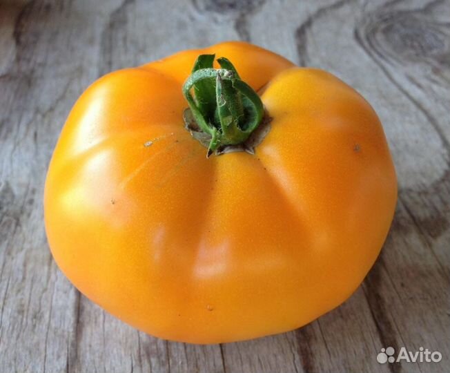 Семена Томатов