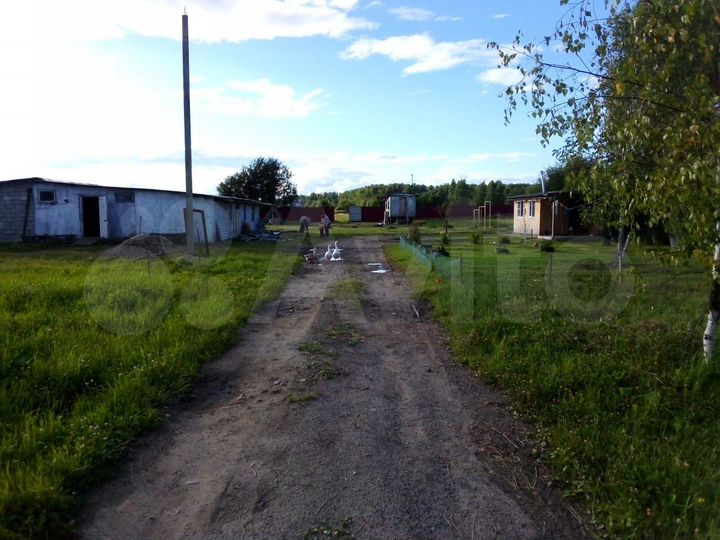 Участок 2,45 га (СНТ, ДНП)