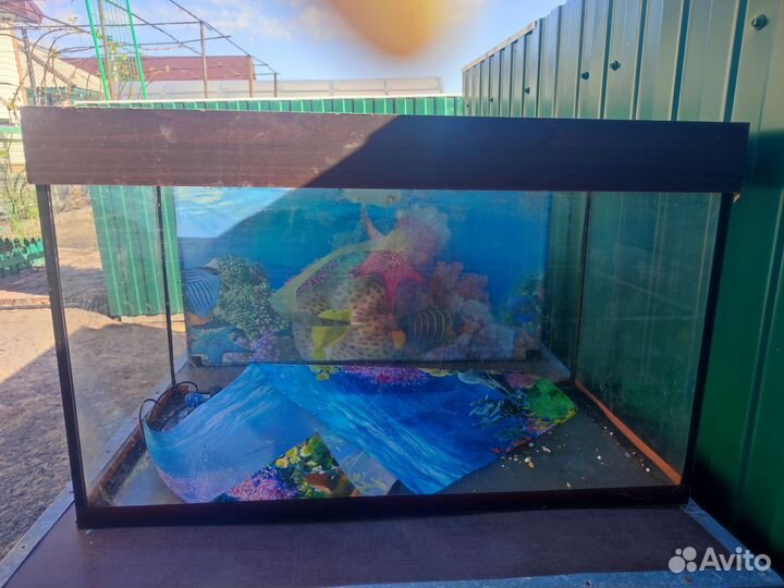 Аквариум