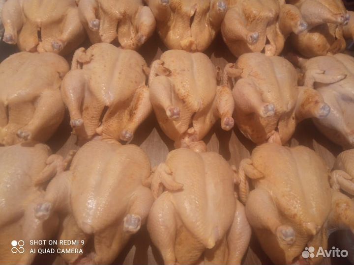 Продукты питания