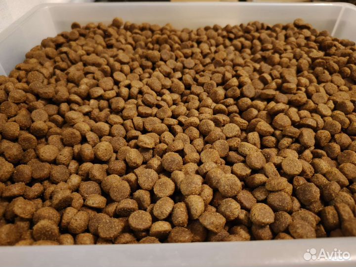 Корм для собак
