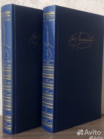 Лермонтов собрание сочинений в двух томах