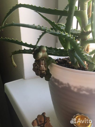 Декор для цветочных горшков и подсвечник