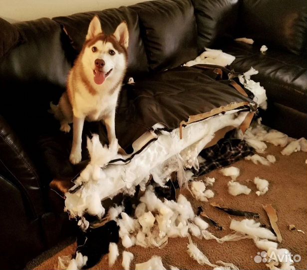 Реставрация и перетяжка мебели