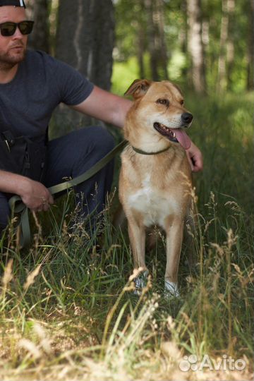 Проживают жизнь в приюте