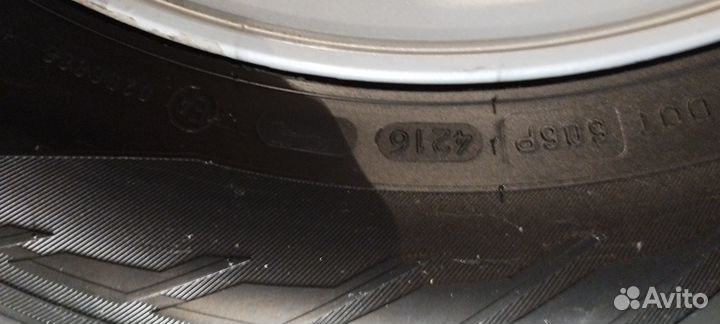 Nokian Tyres Hakkapeliitta R2 195/65 R15 91Q