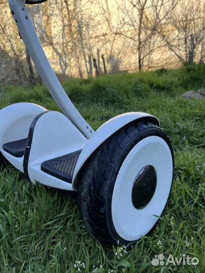 Гироскутер segway ninebot mini