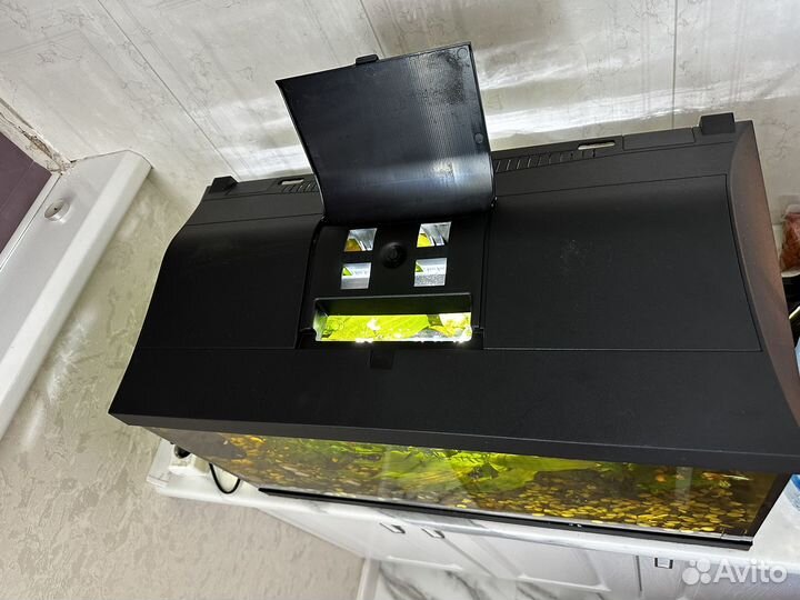 Аквариум с рыбками