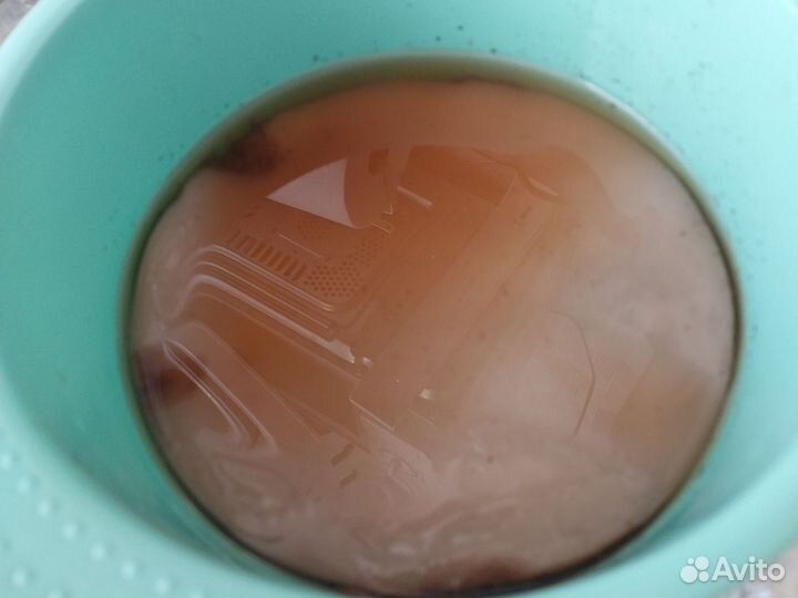 Чайный гриб комбуча