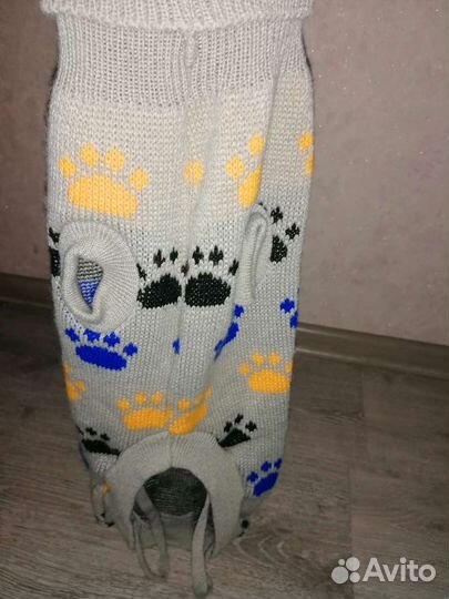 Одежда для собак