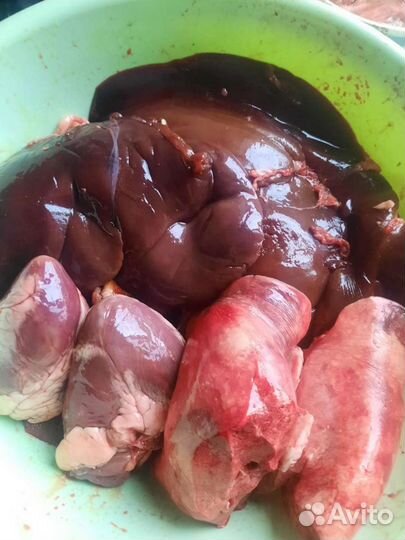 Мясо для собак Орел, Мценск, Железногорск