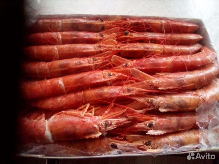 Лангустины