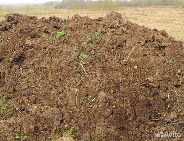 Перегной конский