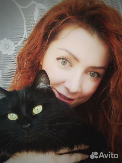 Котоняня/Зооняня