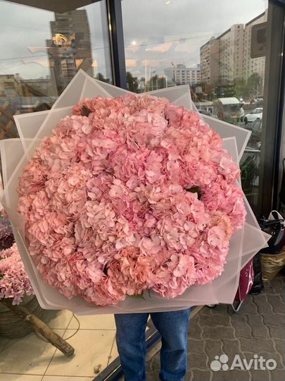 Букет из Голландских гортензий 35шт