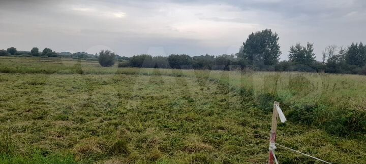 Участок 16 сот. (ИЖС)