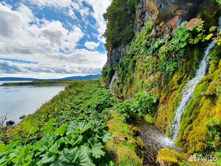 Лучший тур на Курильские острова