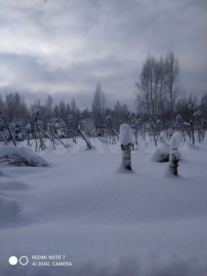 Участок 1,82 га (ИЖС)