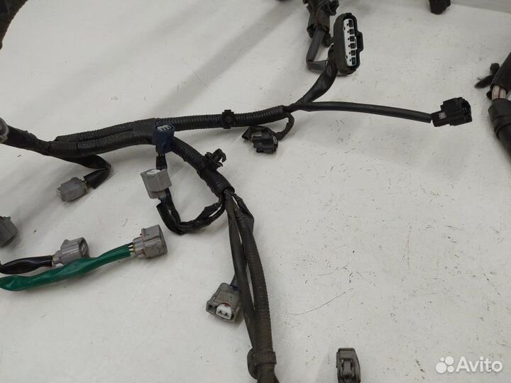 Б/У Б/У Проводка двигателя Европа с двигателя
