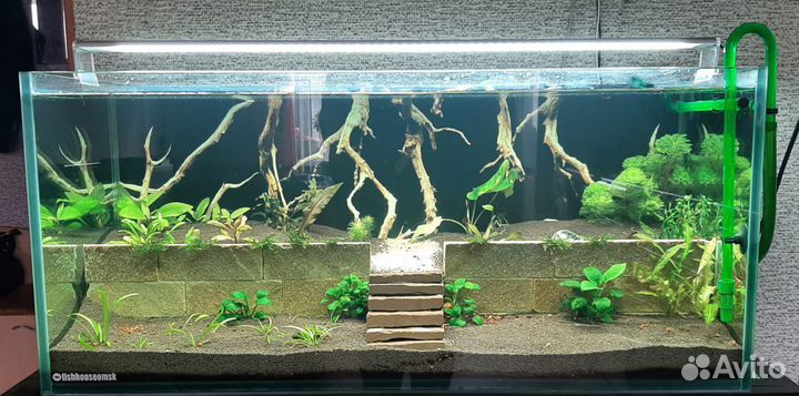 Обслуживание аквариумов