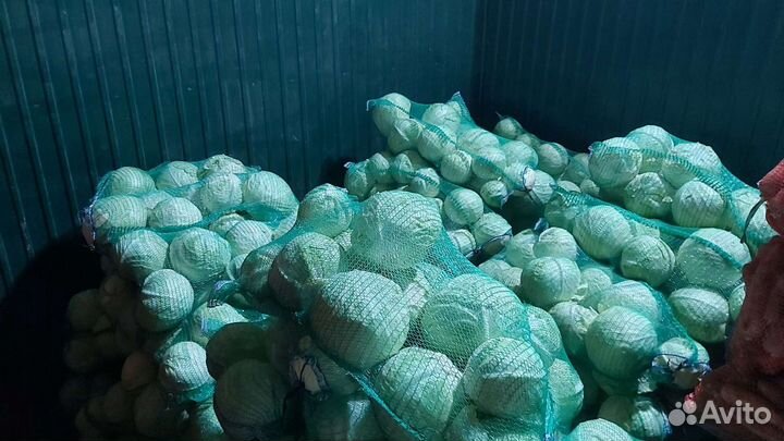 Капуста свежая засолочная