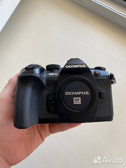 Olympus OM-D E-M1 Mark II