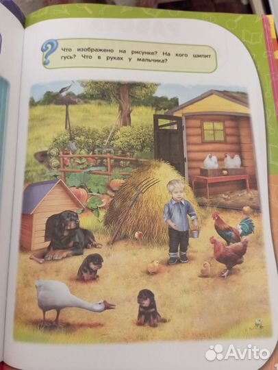 Годовой курс занятий 2, 3 года