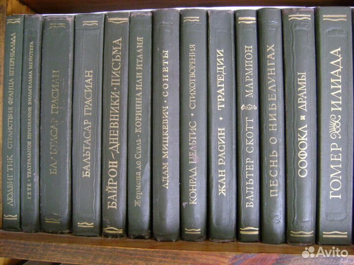 Книги Серия Литературные Памятники Классика (1)