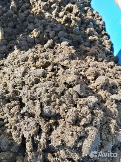 Навоз конский. Без опилок и соломы