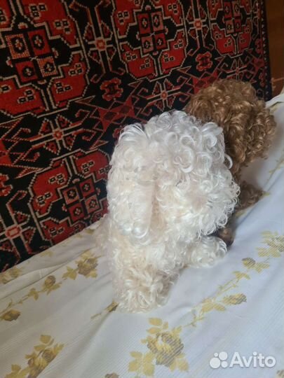 Советские игрушки СССР мягкие собаки