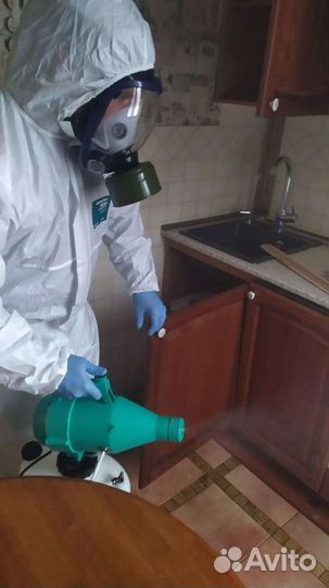 Уничтожение клопов, тараканов. Дезинфекция