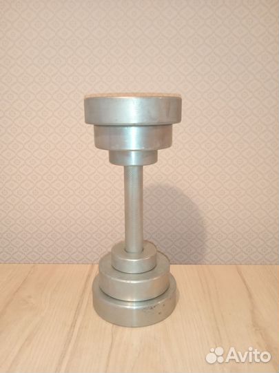 Гантель стальная разборная 12 кг