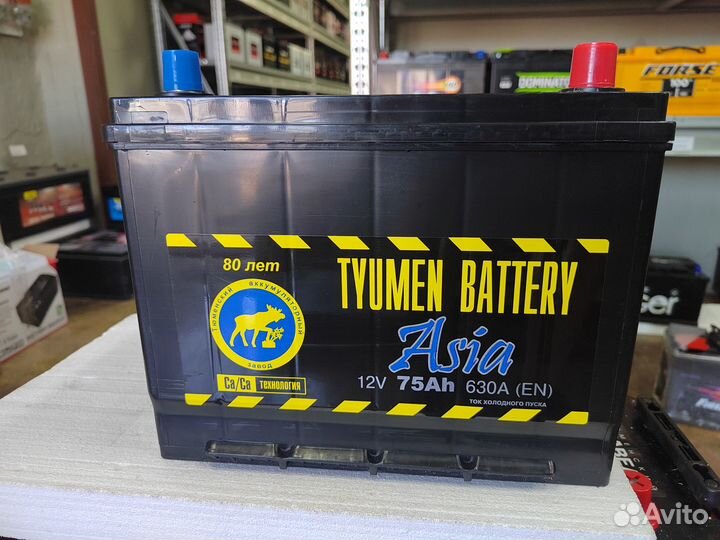 Аккумулятор Тюмень Азия 75 Ач обр 630 А