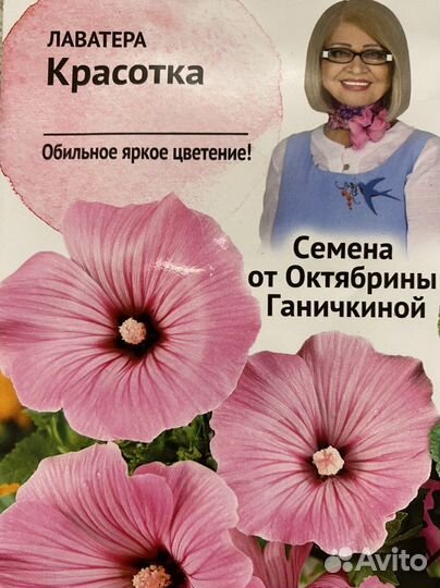 Семена Лаватера