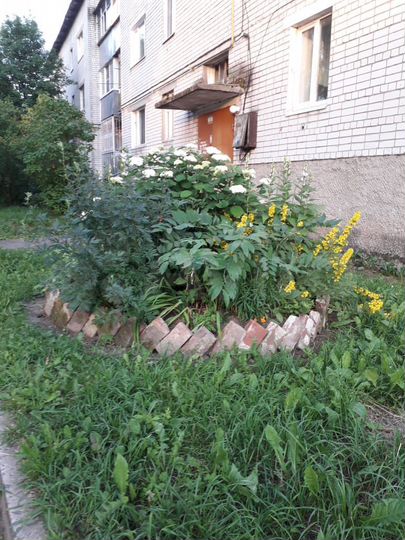 1-к. квартира, 37,1 м², 3/3 эт.