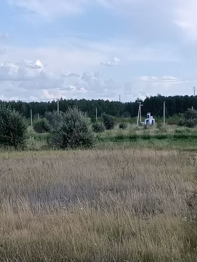 Участок 10 сот. (ИЖС)