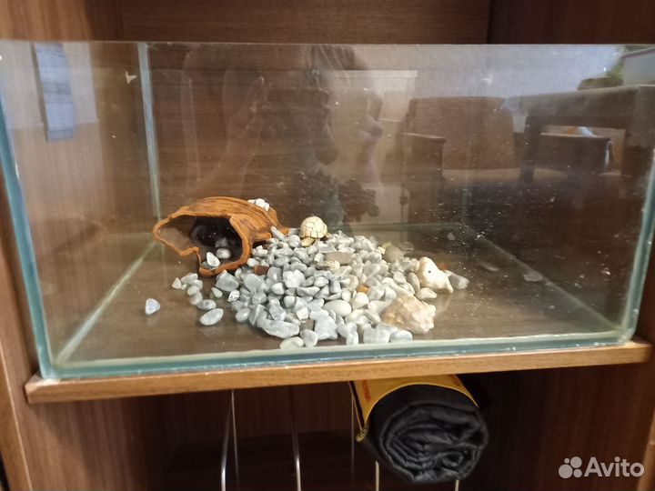 Аквариум для черепахи
