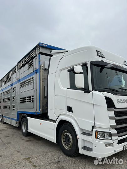 Перевозка скота по России и снг