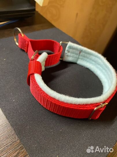 Амуниция для собак ручной работы