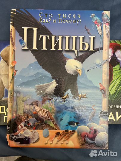 Книги о животных