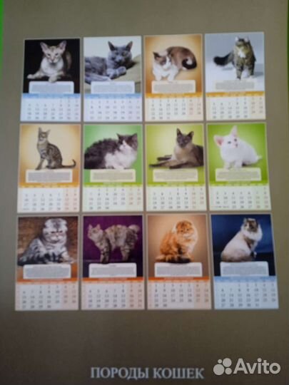 Календари прошлых лет